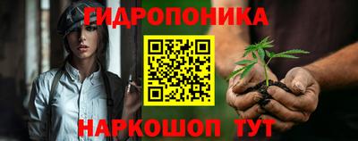 шишки Нальчик