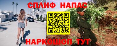 шишки Нальчик