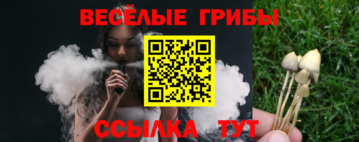Псилоцибиновые грибы MAGIC MUSHROOMS  Псилоцибиновые грибы прущие грибы  наркотики  Вход с VPN  Пушкино 